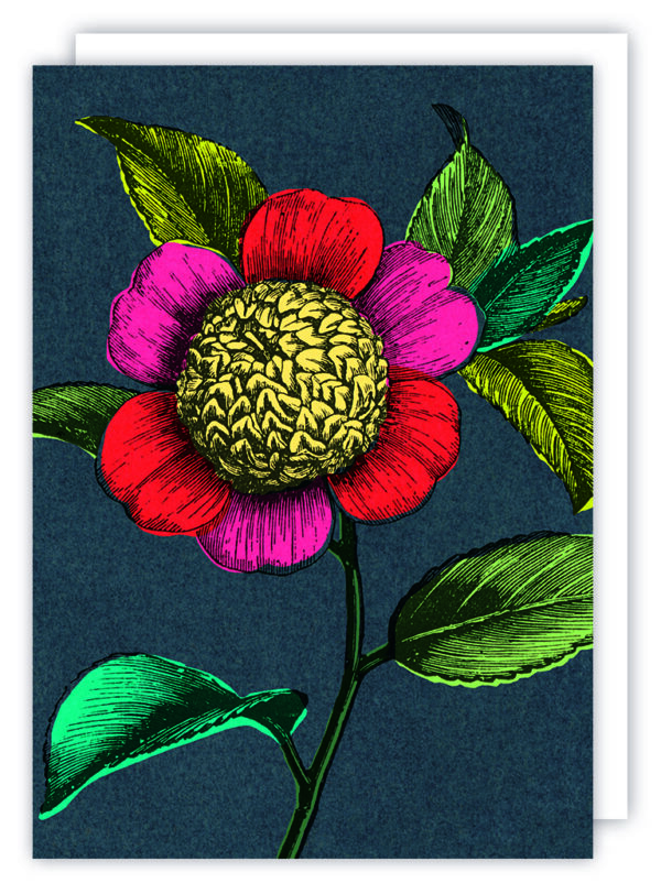 Julia Trigg vivid vintage COLOURFUL CAMELLIA