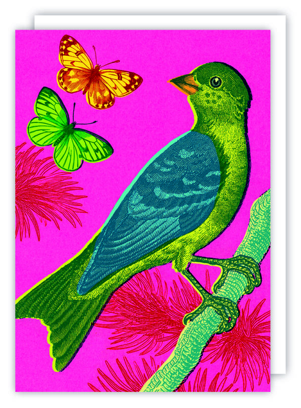 Julia Trigg vivid vintage FUNKY FINCH