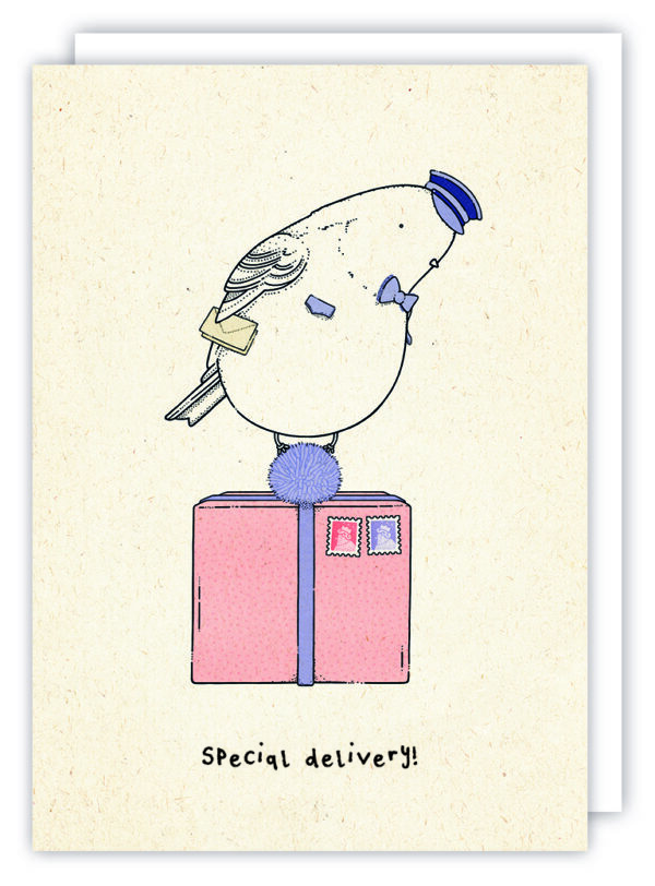 Kate Wilson little doodles SPECIAL DELIVERY!
