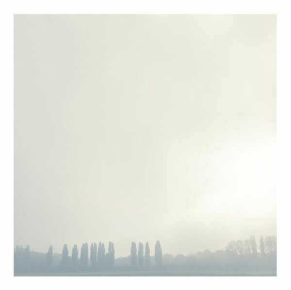 Le Beuan Bénic, N.: Sans titre, 2006, 100x100 cm