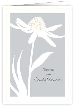 Toutes nos condoléances