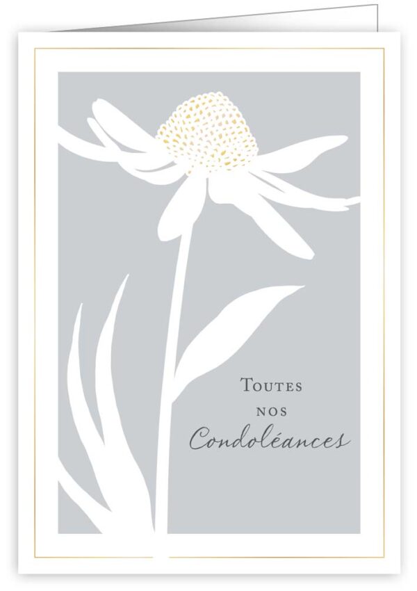 Toutes nos condoléances