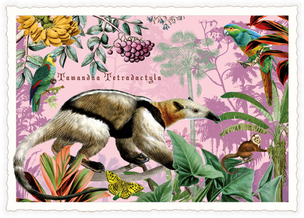 Ameisenbär (o.T.) (Quer)
