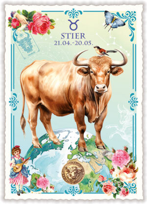 Stier (Hoch)