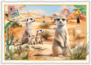 Erdmännchen (o. T.) (Quer)