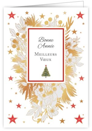 Bonne année Meilleurs Voeux
