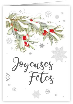 Joyeuses Fêtes
