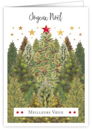 Joyeux Noel Meilleurs Voeux