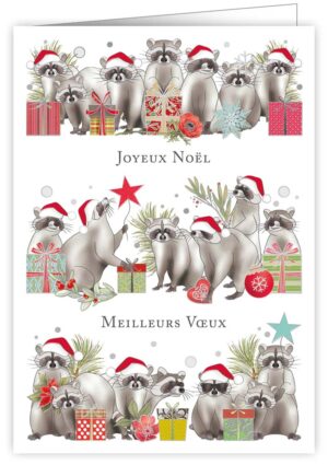 Joyeux Noel Meilleurs Voeux