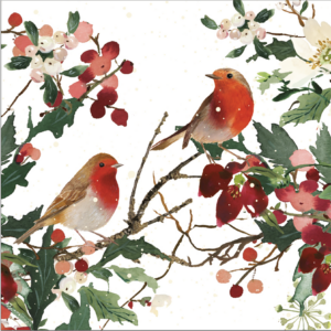 Paper Napkins - Robins
